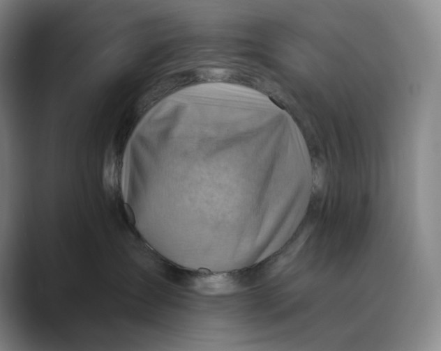 X0000088750431200706282209