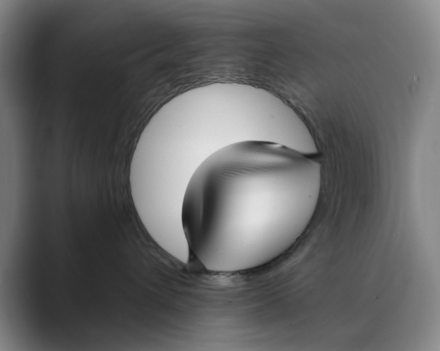 X0000088750432200706282209