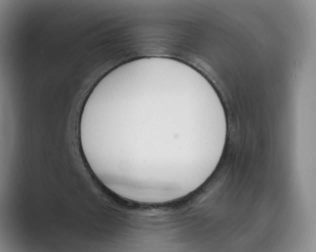 X0000088750433200706282208