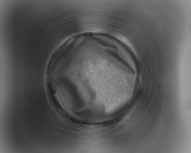 X0000088750436200706282208