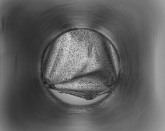 X0000088750437200706282208