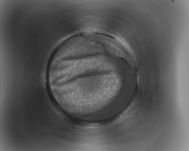 X0000088750438200706282208