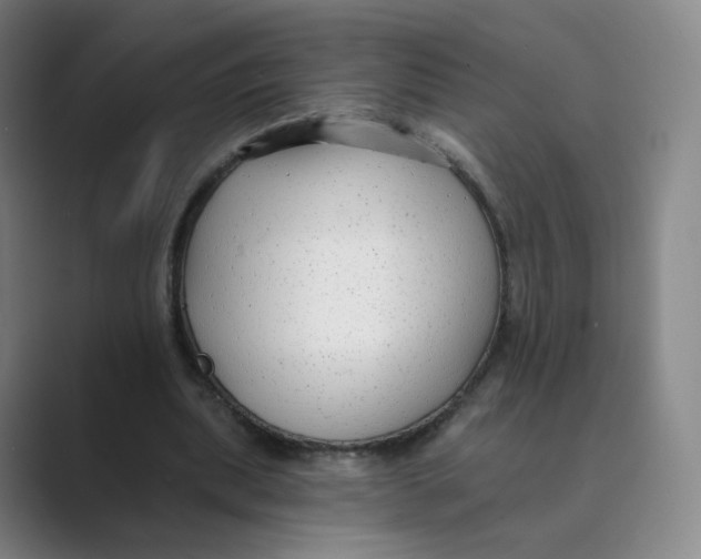 X0000088750439200706282208