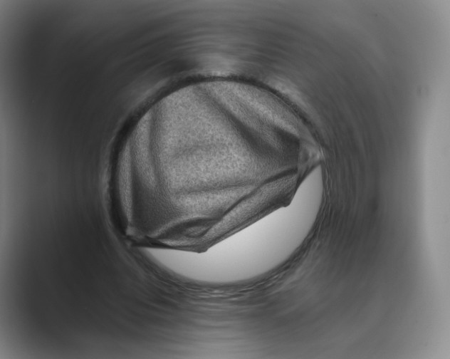 X0000088750440200706282208