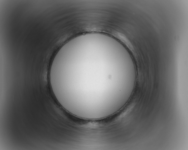 X0000088750441200706282208