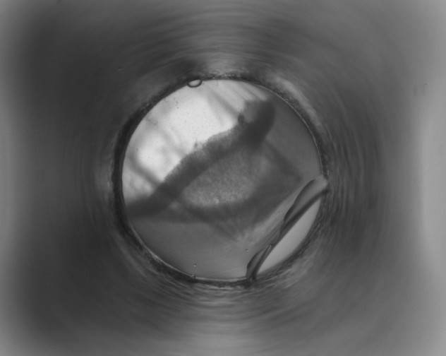 X0000088750443200706282208