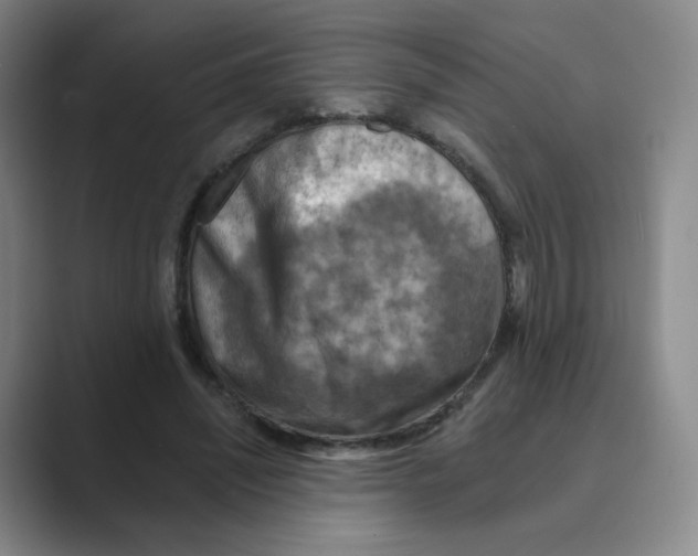 X0000088750444200706282208