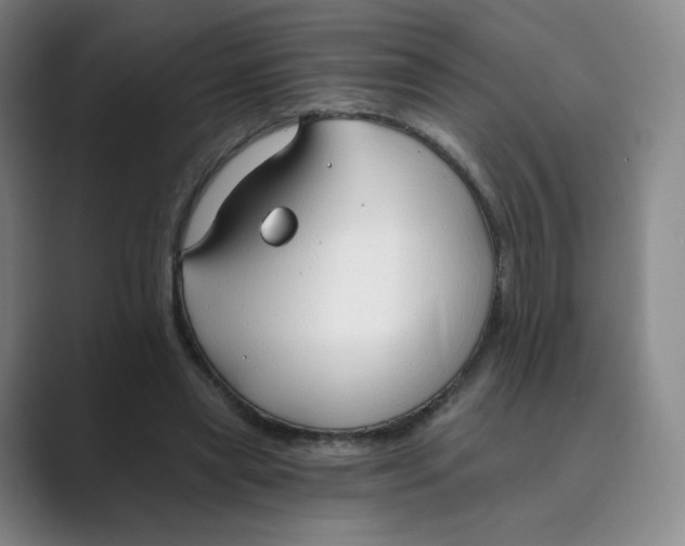 X0000088750445200706282208