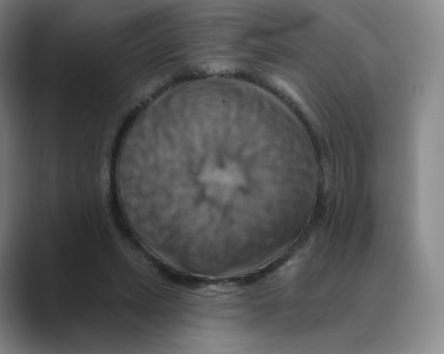 X0000088750447200706282208