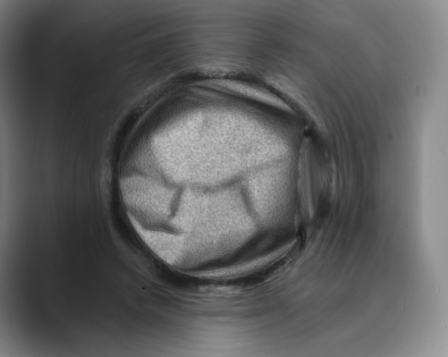 X0000088750448200706282208