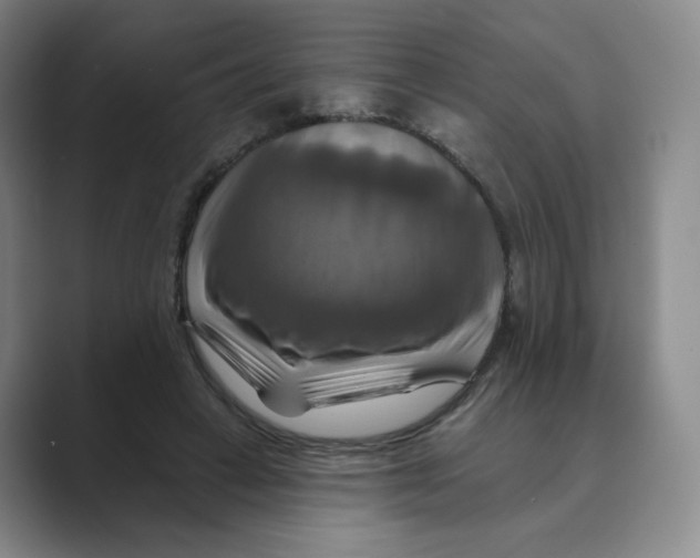 X0000088750449200706282208