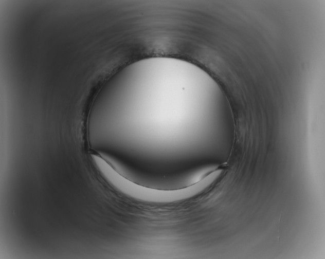 X0000088750450200706282208