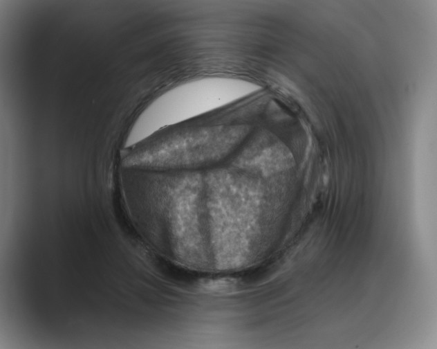 X0000088750452200706282208