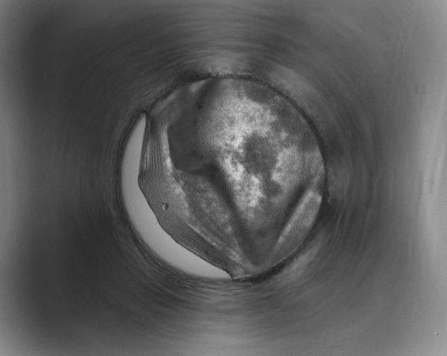 X0000088750453200706282208