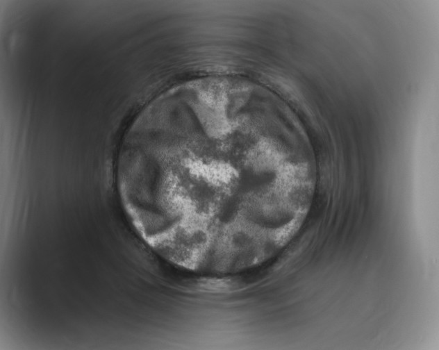 X0000088750457200706282208