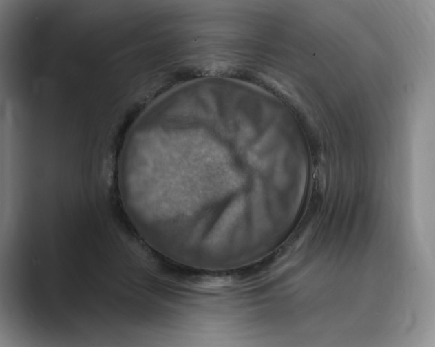 X0000088750458200706282208