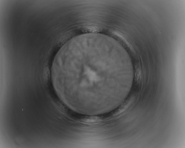 X0000088750459200706282208