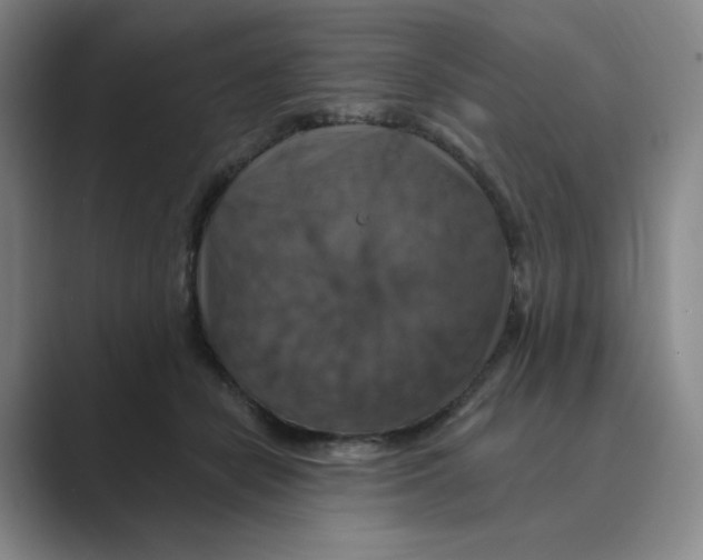 X0000088750462200706282208