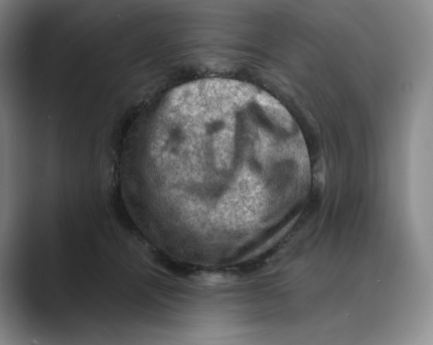 X0000088750464200706282208