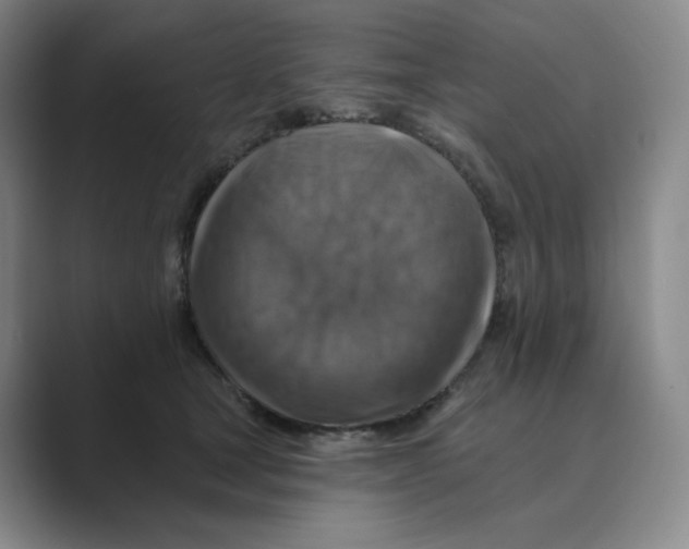 X0000088750465200706282209