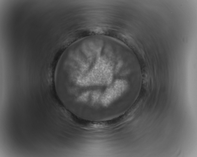 X0000088750466200706282209