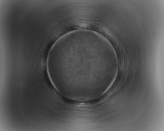 X0000088750467200706282209