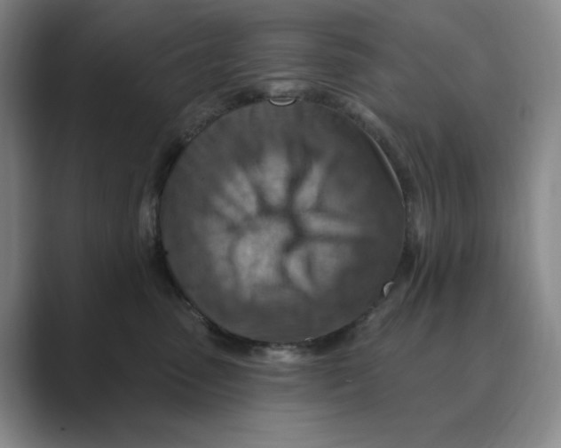 X0000088750475200706282209