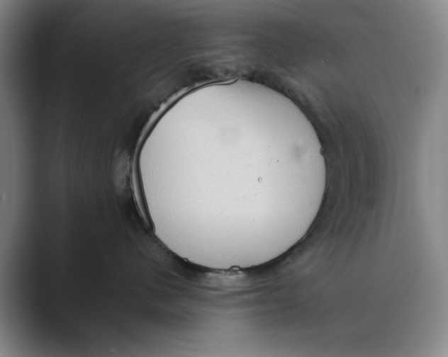 X0000088750480200706282209