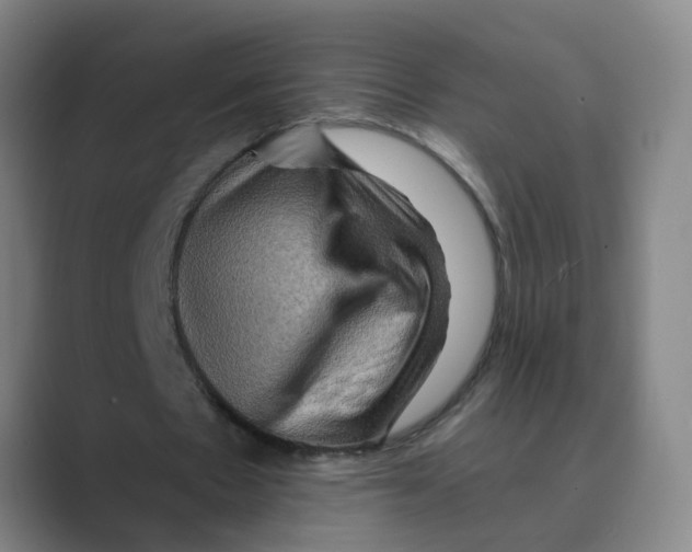 X0000088750481200706282208