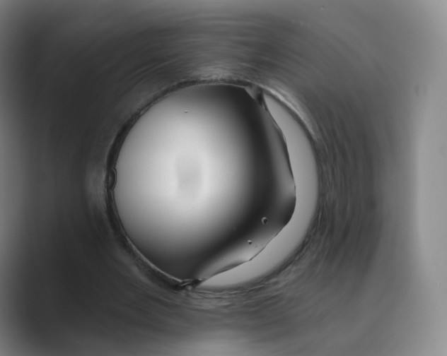 X0000088750485200706282208