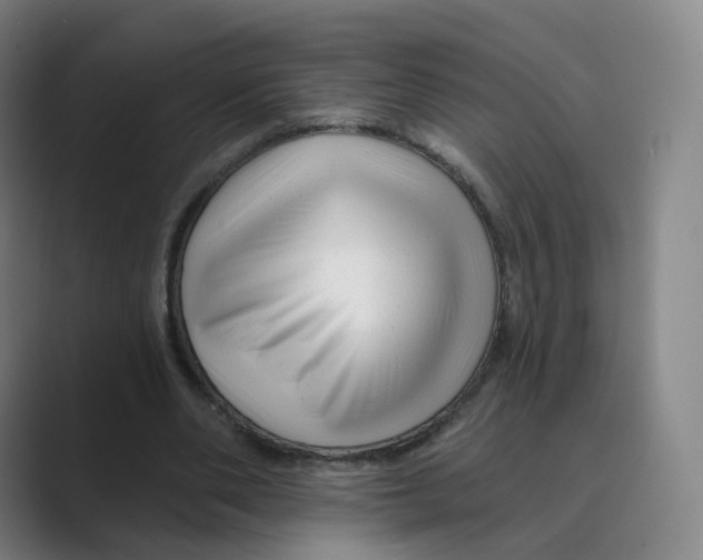 X0000088750486200706282208