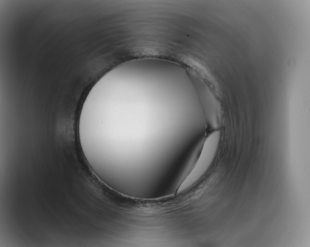 X0000088750489200706282208