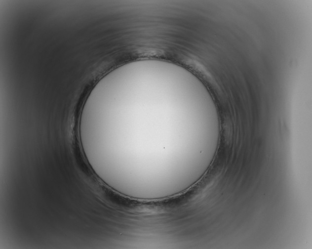 X0000088750490200706282208