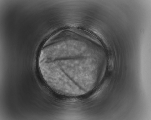 X0000088750492200706282208