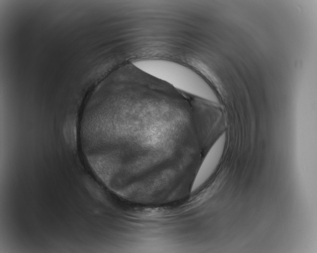 X0000088750493200706282208