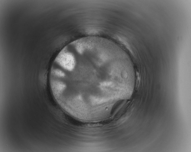 X0000088750495200706282208