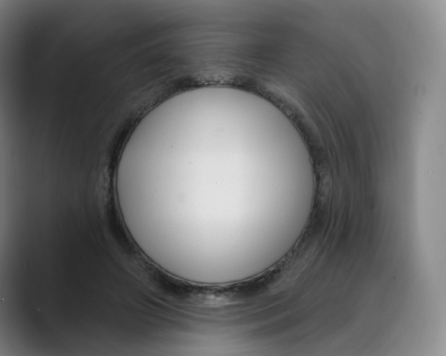 X0000088750498200706282208