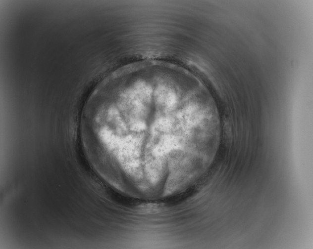 X0000088750499200706282208