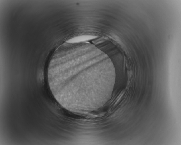 X0000088750500200706282208