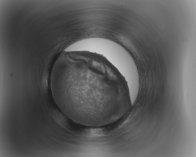 X0000088750501200706282208