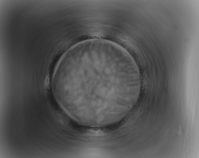 X0000088750502200706282208