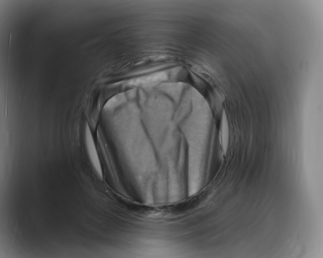 X0000088750504200706282208