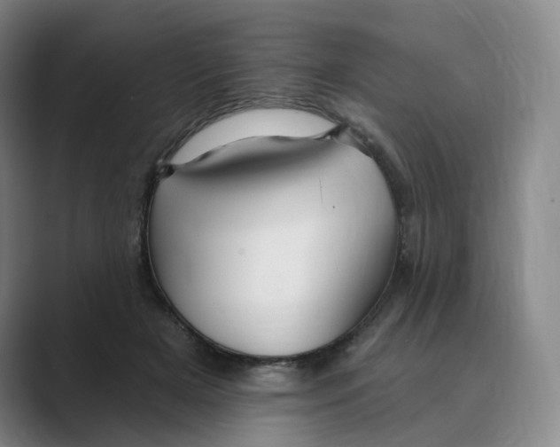 X0000088750505200706282208