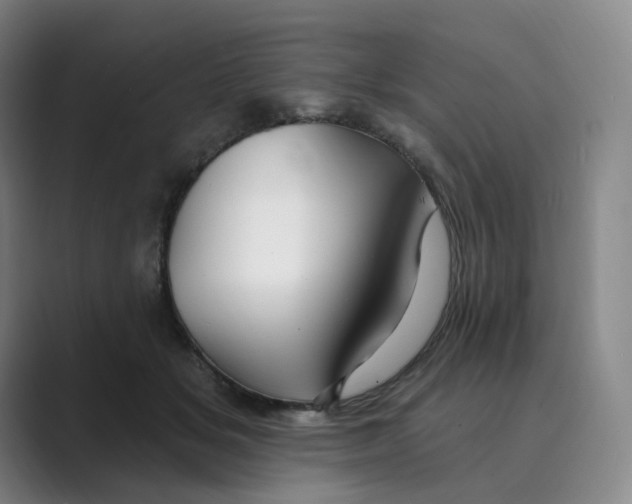 X0000088750509200706282208