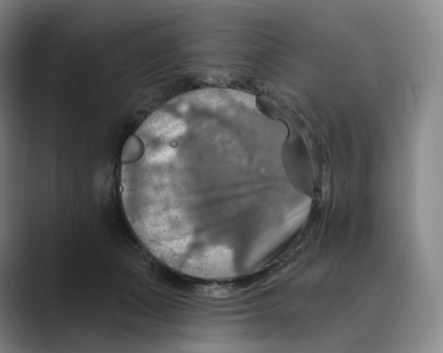 X0000088750511200706282208