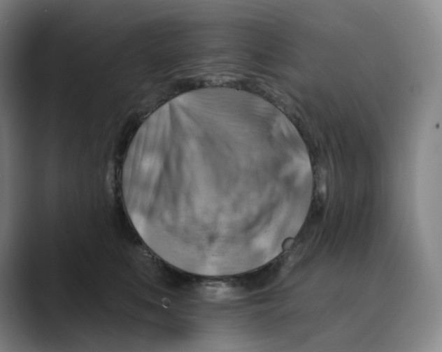 X0000088750519200706282208