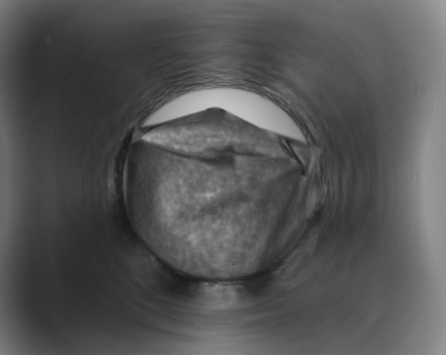 X0000088750520200706282208