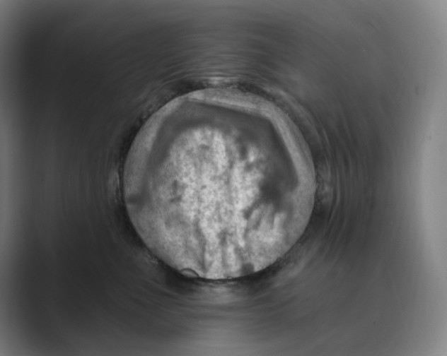 X0000088750523200706282208