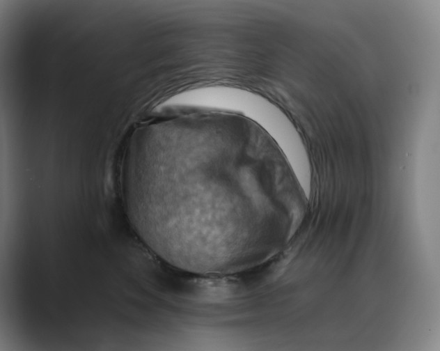 X0000088750524200706282208