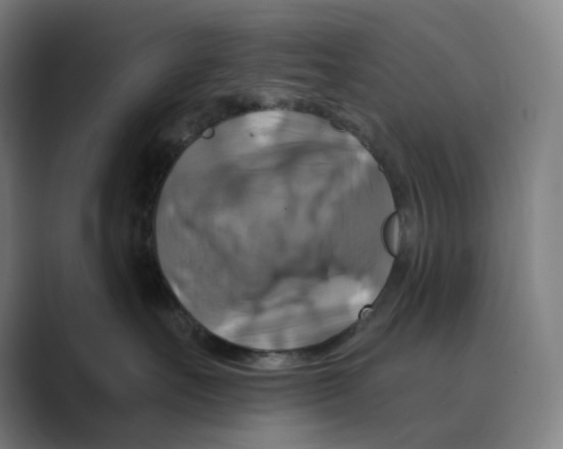 X0000088750527200706282207